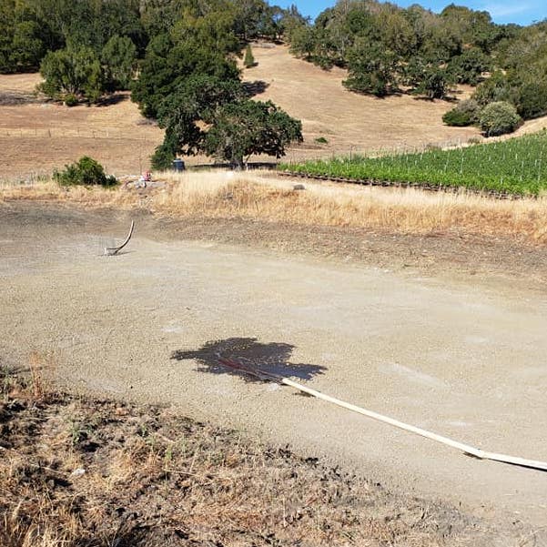 Kendric Vineyards Dry Pond
